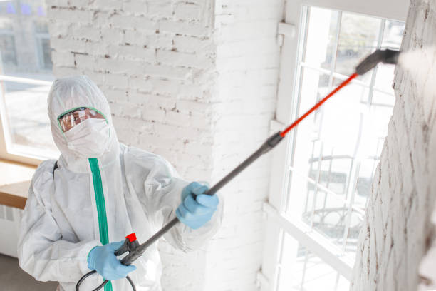 Best Water Damage & Mold Remediation  in Fairview, OR