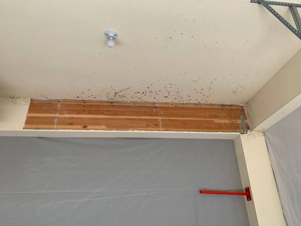 Best Post-Remediation Verification Testing  in Fairview, OR