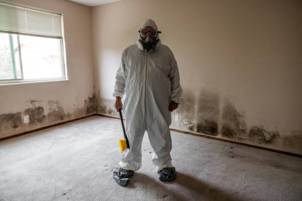 Best Black Mold Removal  in Fairview, OR